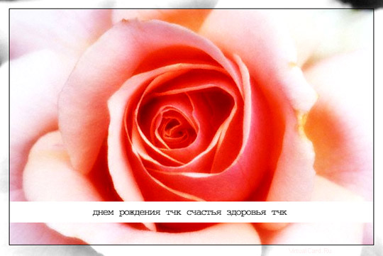 http://www.virtualcard.ru/images5/pic7303.jpg